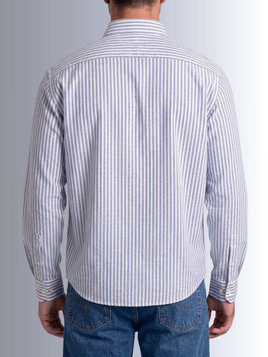 Cauzeway blue and white university stripe long sleeve casual shirt in signature Indian regular fit, premium cotton TFO oxford weave back view.