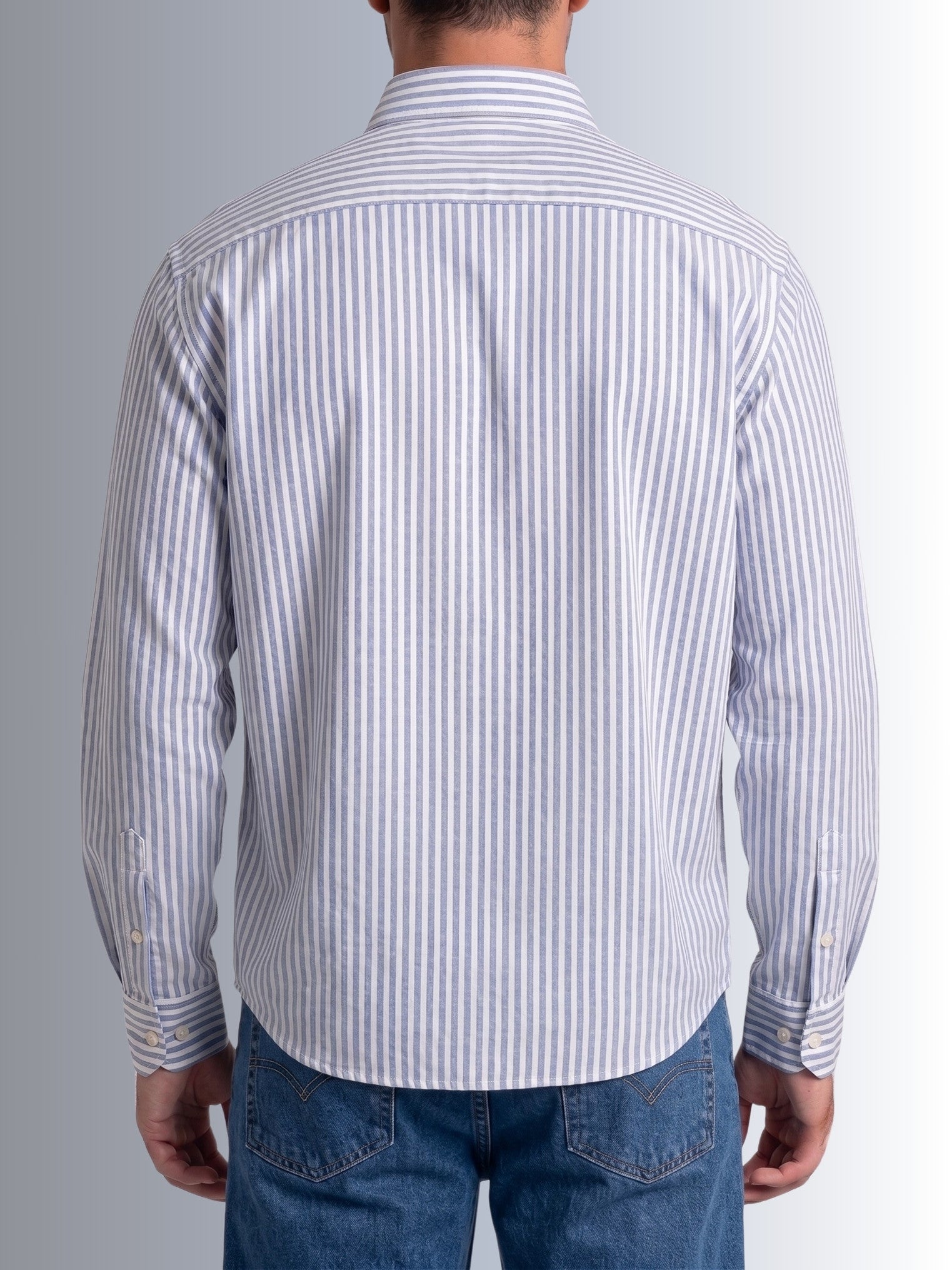 Cauzeway blue and white university stripe long sleeve casual shirt in signature Indian regular fit, premium cotton TFO oxford weave back view.